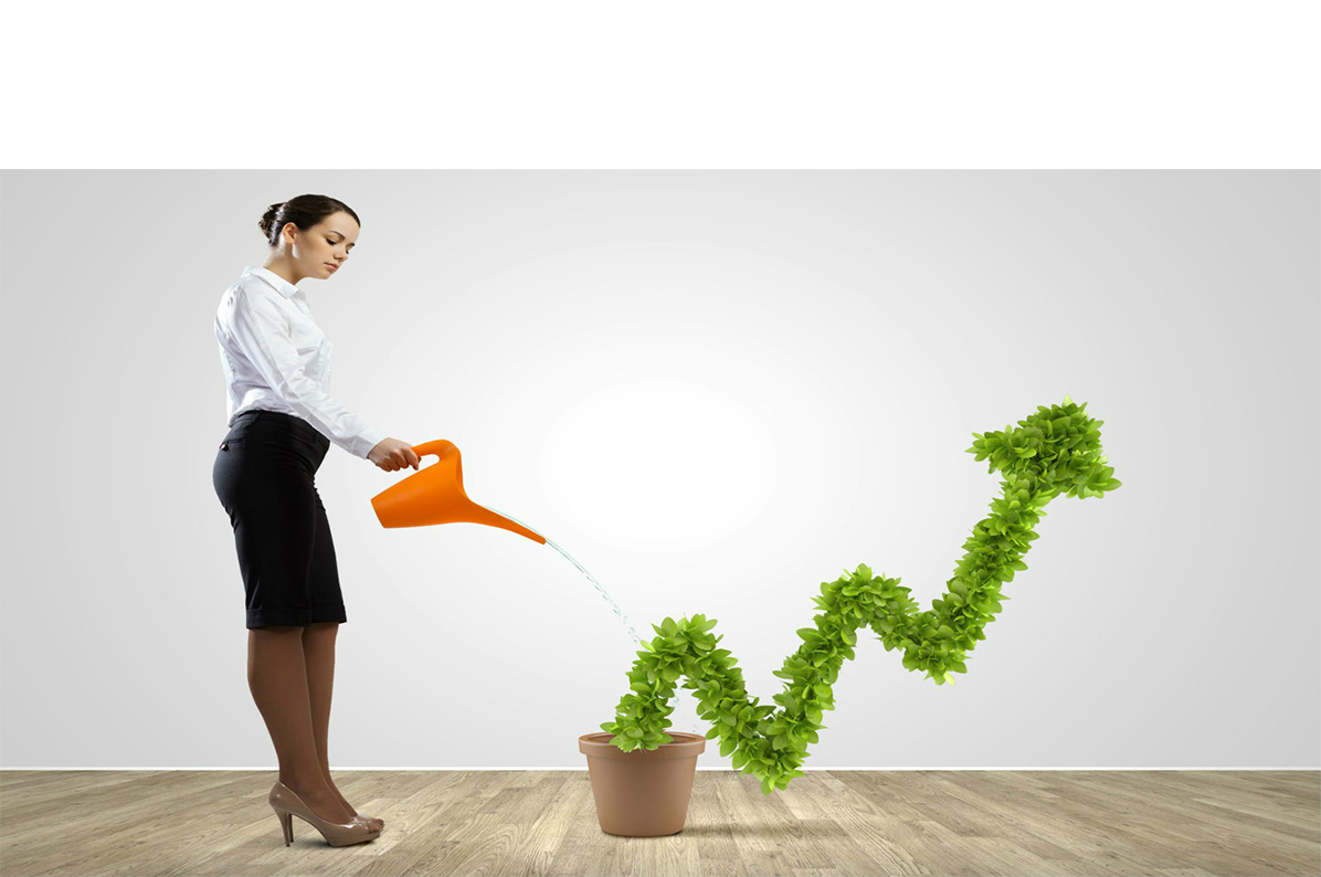 banner1_1196 _def_11psd